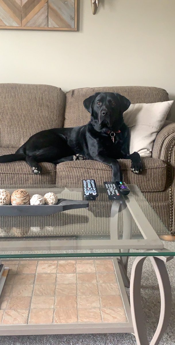 roosekae's tweet photo. Apparently it’s National Puppy Day...so here’s my handsome boy, Jeter!!! #NationalPuppyDay https://t.co/gkQ59T1233