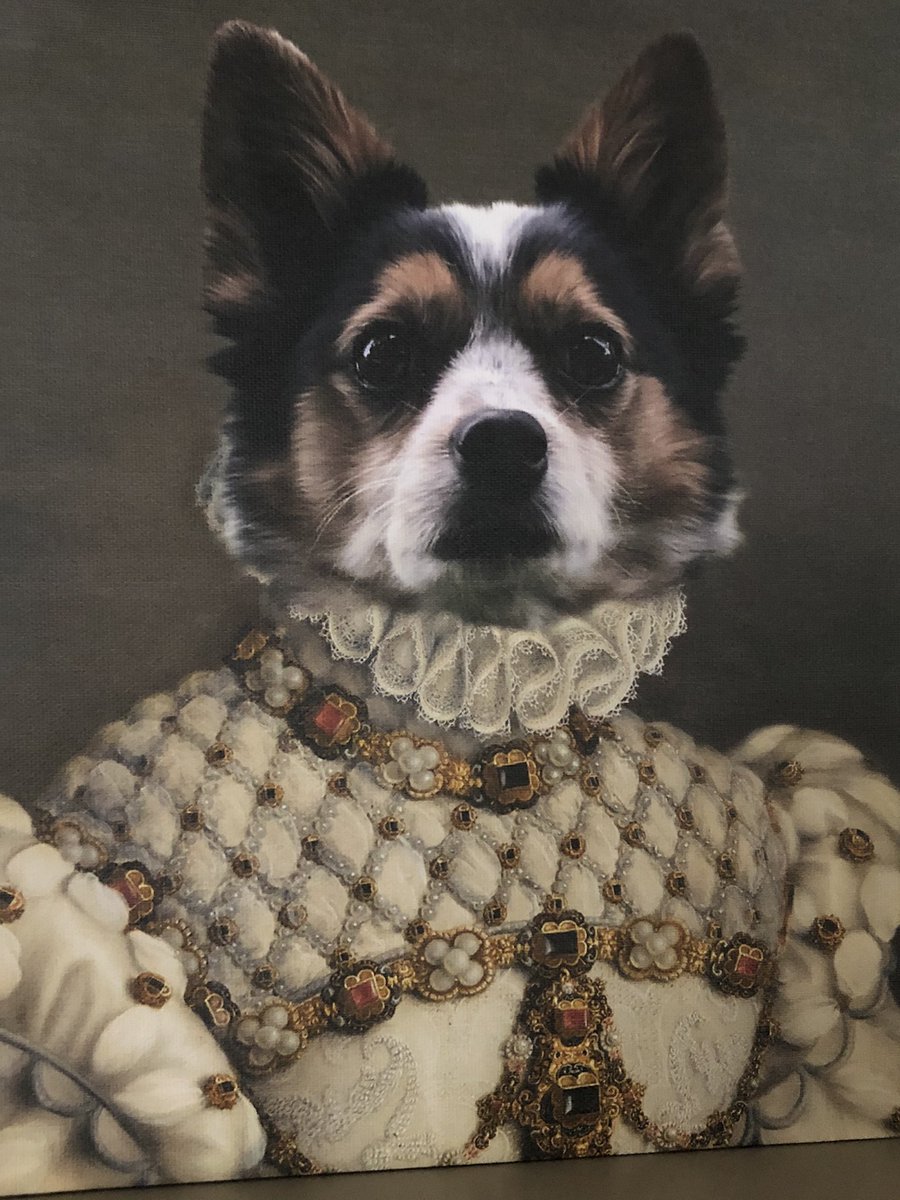 MeganDaySuhr's tweet photo. Yzma - #ProChoicePup  the Barker of the squirrels, the chaser of the rabbits, the keeper of the rights. https://t.co/LBHqQyw2Bk