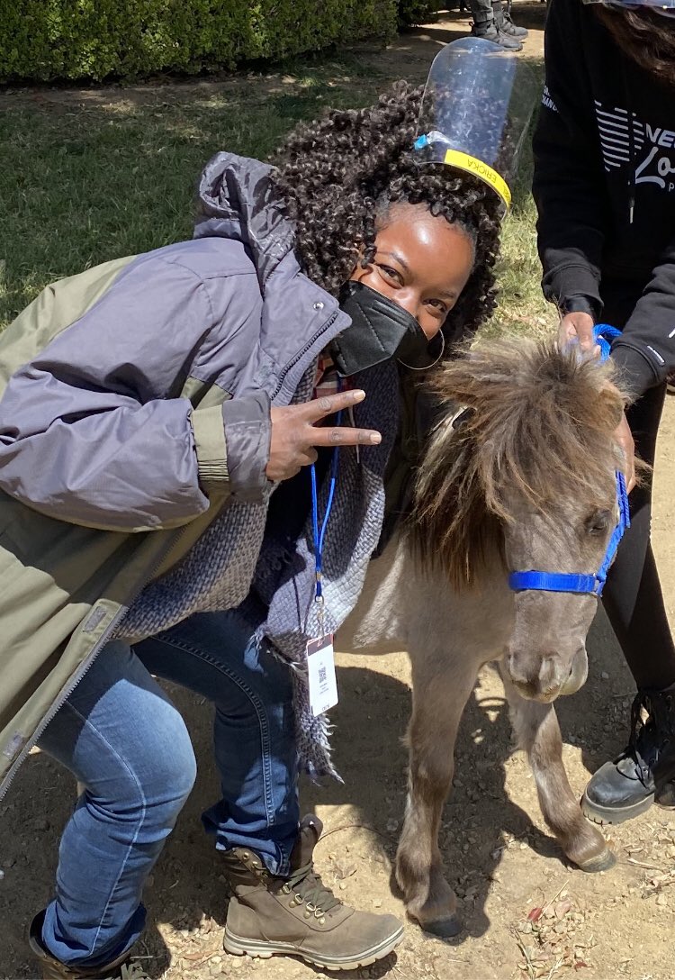 LionQueenTvFilm's tweet photo. I met #MyLittlePony today! #ILoveMyLife #SuperCute #FourLeggedFriend https://t.co/pAT9pUVIwK