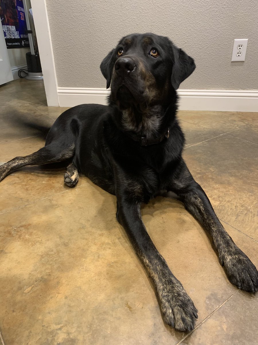 Happy National Puppy day!😍
Missin these dudes!