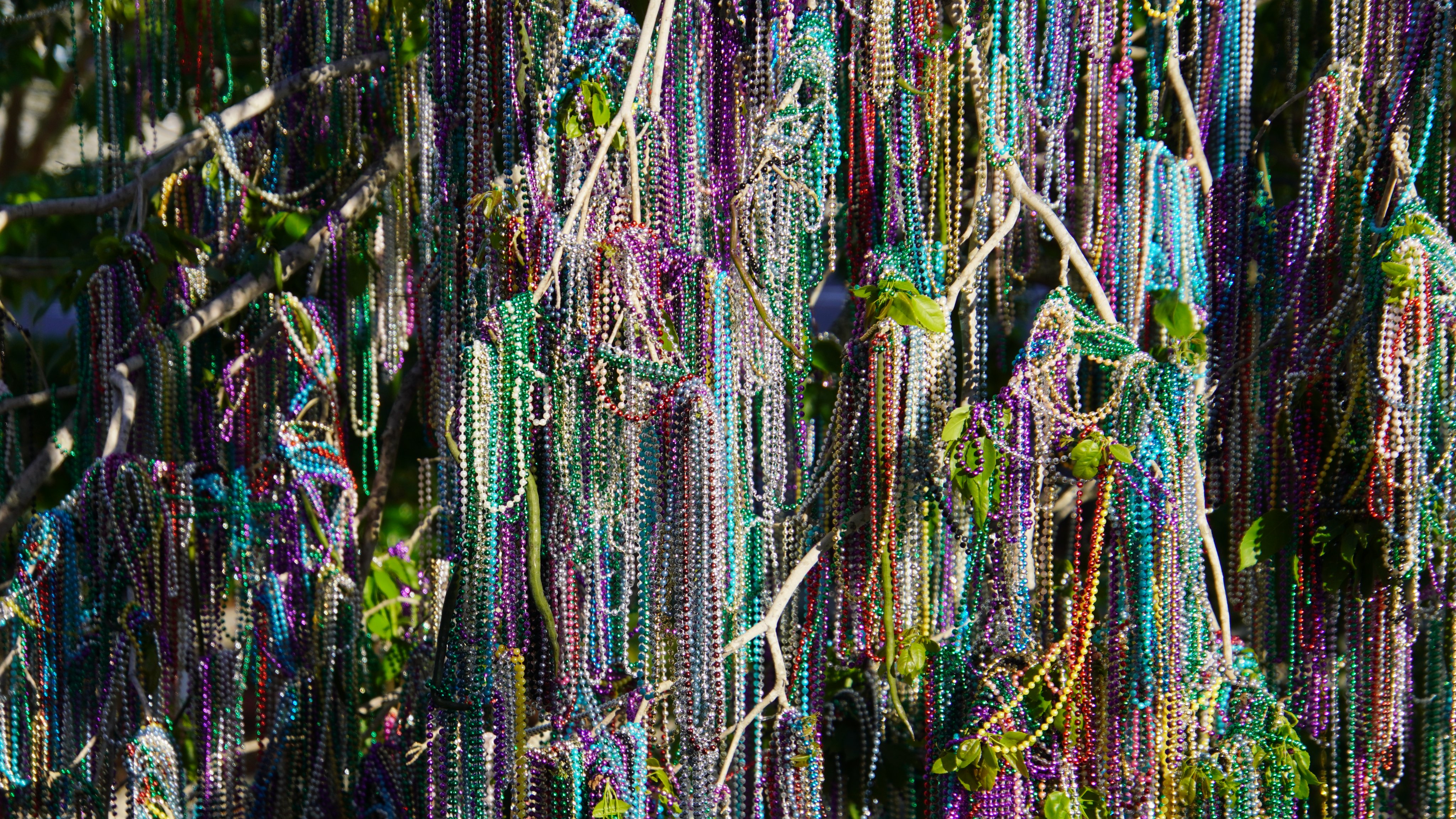 universal studios orlando mardi gras tree covered in beaded necklaces