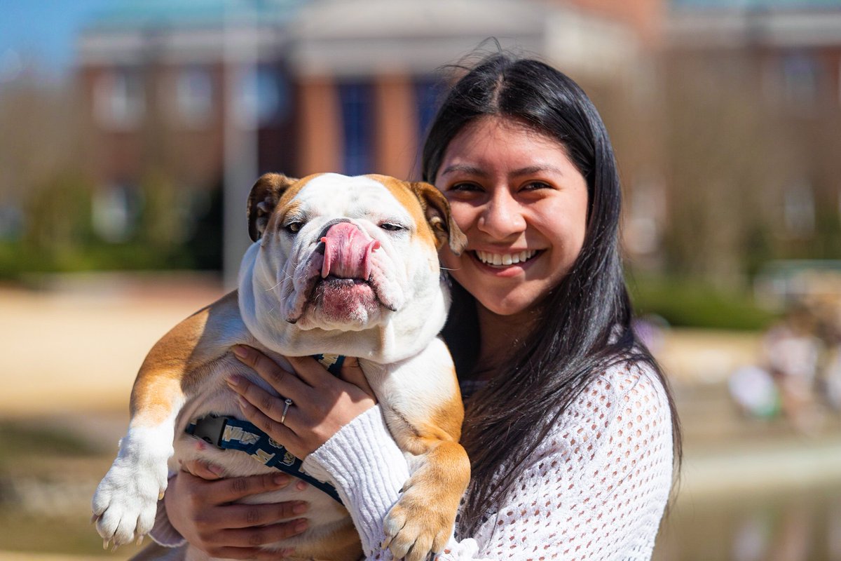 WingateUniv's tweet photo. Too cute not to share💙🐶💛
Happy #NationalPuppyDay2021 Bulldogs 

#OneDog #CaptureWingate #WingateBulldogs https://t.co/wmDZEFiWvH