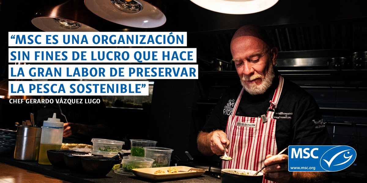 MSCenLA's tweet photo. Para el Chef Gerardo Vázquez Lugo, la sardina es un producto que debería estar en todas las mesas por su gran variedad de usos en platillos. https://t.co/DQMGBhp7hD
