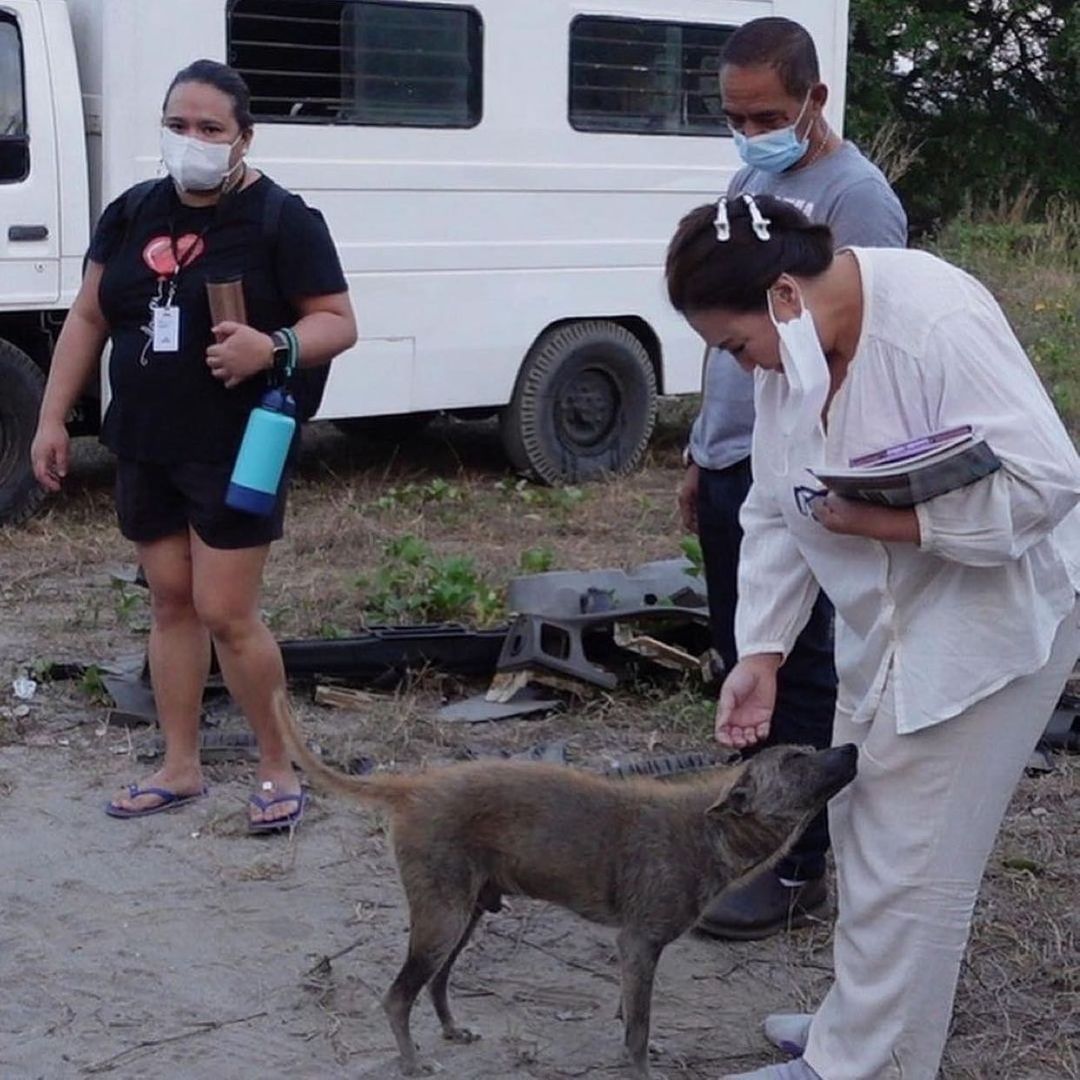 Sharon Cuneta buys rescue aspin Pawiboy an LV dog collar