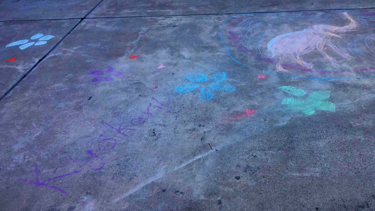 esther_kang's tweet photo. Walking into school this morning to see this made my day... 🥰4 eagle nests 1 eagle nation! #eaglenation #pwcsstrong #itsallgood @SPES_Eagles @2ndGradeEagles https://t.co/I3uxCYoMU1