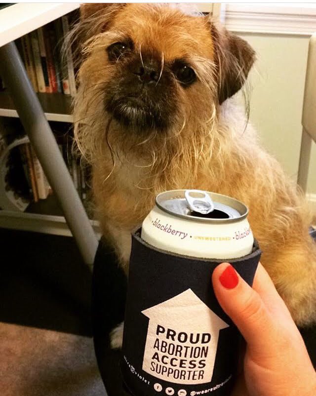 _sensitivefern_'s tweet photo. @NARAL Chickpea loves abortion access! #ProChoicePup #NationalPuppyDay https://t.co/hjWq3lY46n
