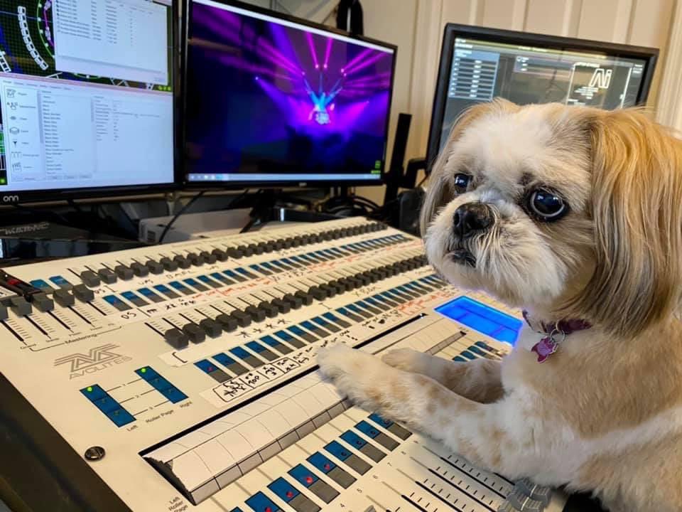 creativebackstg's tweet photo. It's National Puppy Day
We have Sophie learning lighting programing.

#eventprofs #NationalPuppyDay2021 https://t.co/OoSxUZVExC