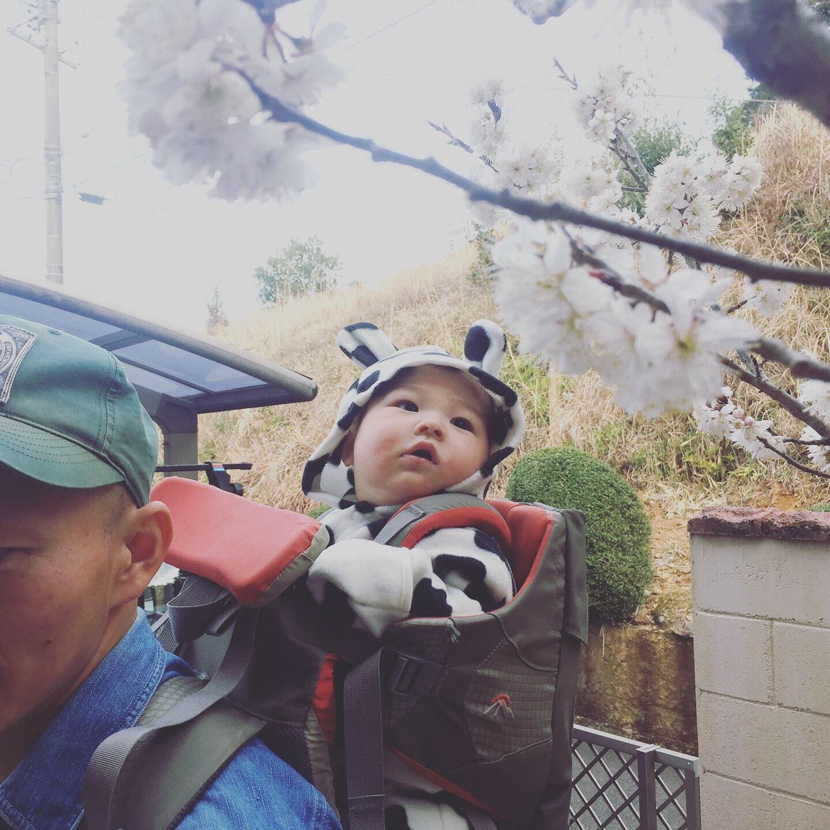 さおちゃま たまには更新してみた かわいいんだこいつらが 三男坊はもう半年になりやした