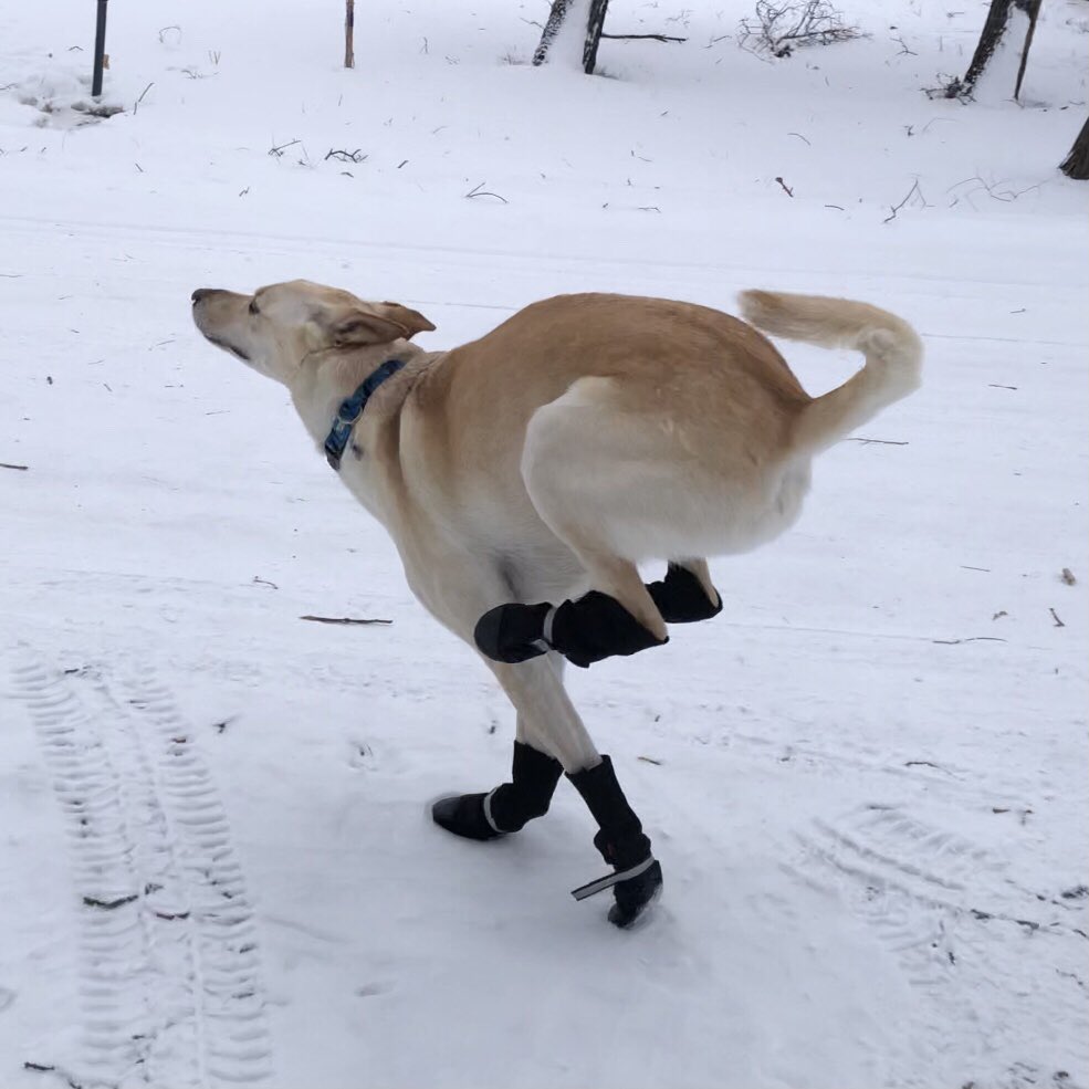 Carmen Chan 陳嘉敏 tweet media