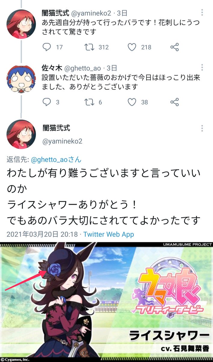 ウマ娘 ライスシャワーの慰霊碑への献花騒動について Togetter