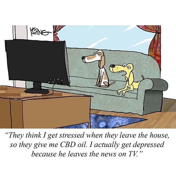 When you're not home... Another doggone spot-on cartoon from award-winning cartoonist Jerry King. (This one appeared in last month's issue of #mgmagazine.) #cbdcartoon  #CBDpets instagr.am/p/CMx-PMCBZS5/