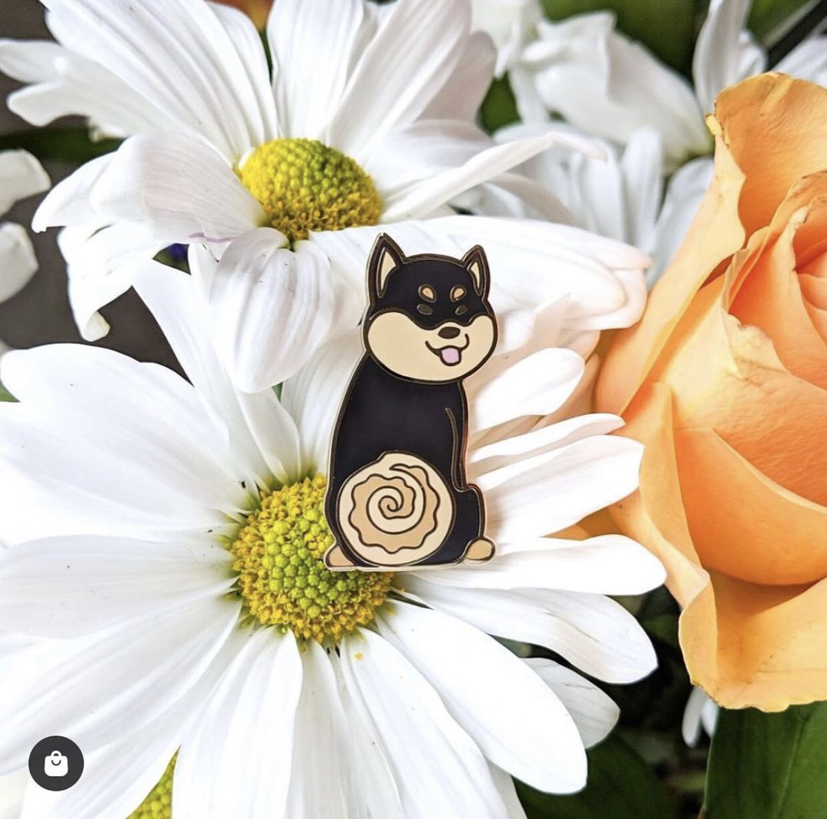 yourstuffmade's tweet photo. Shiba Inu + Cinnamon Bun 🥰
-
Custom made for @mochianderica in beautiful hard enamel and gold cast metal ✨
-
#yourstuffmade #enamelpin #dog #dogs #cinnamon #merch #promotionalproducts #productmanufacturer https://t.co/6LLcgPF5mH