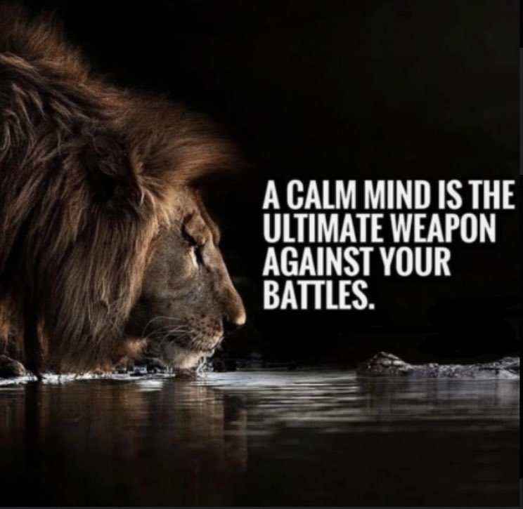 srhsbball's tweet photo. Something we have talked about lately. Calm is contagious, focus on what you can control. #dontgivein https://t.co/FHi9eXsRa5