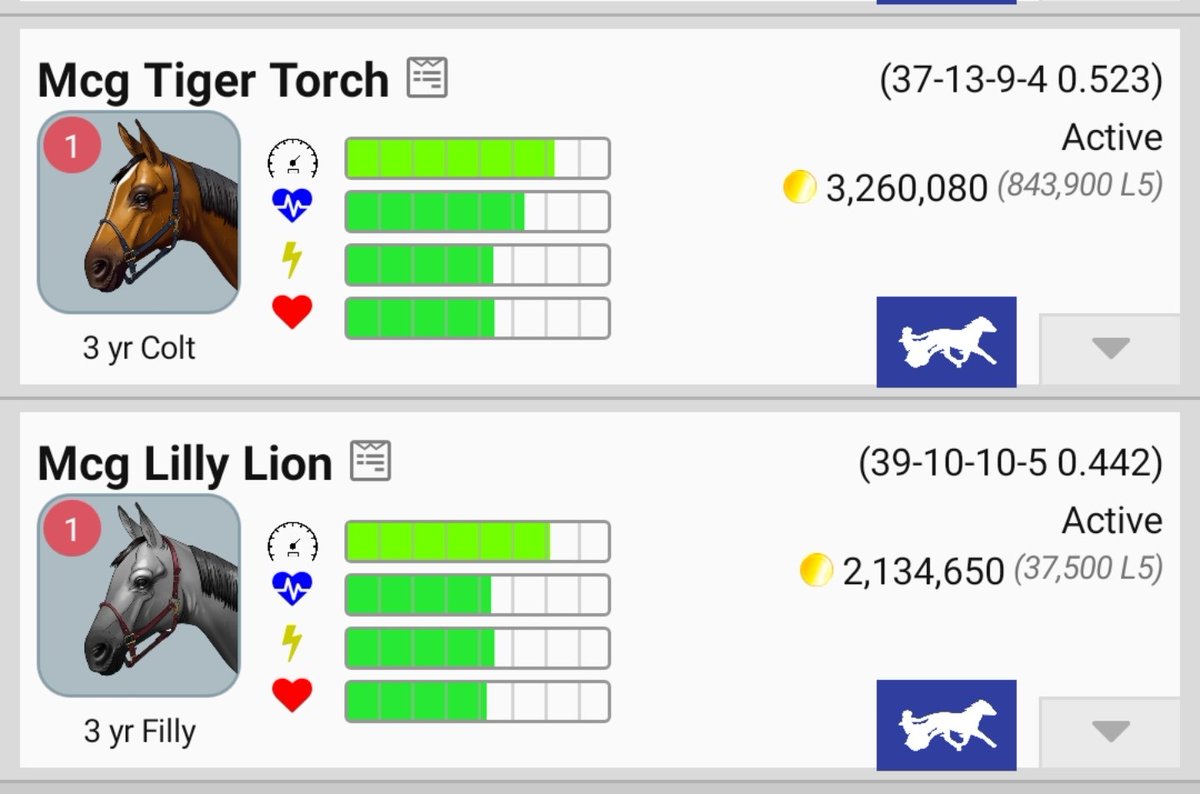 allsgood09's tweet photo. Now in auction @AndPacing https://t.co/2Z1uDKs7mJ