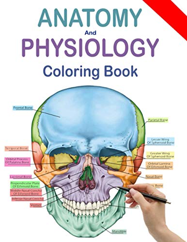 Download Download Pdf Anatomy And Physiology Coloring Book Human Anatomy C