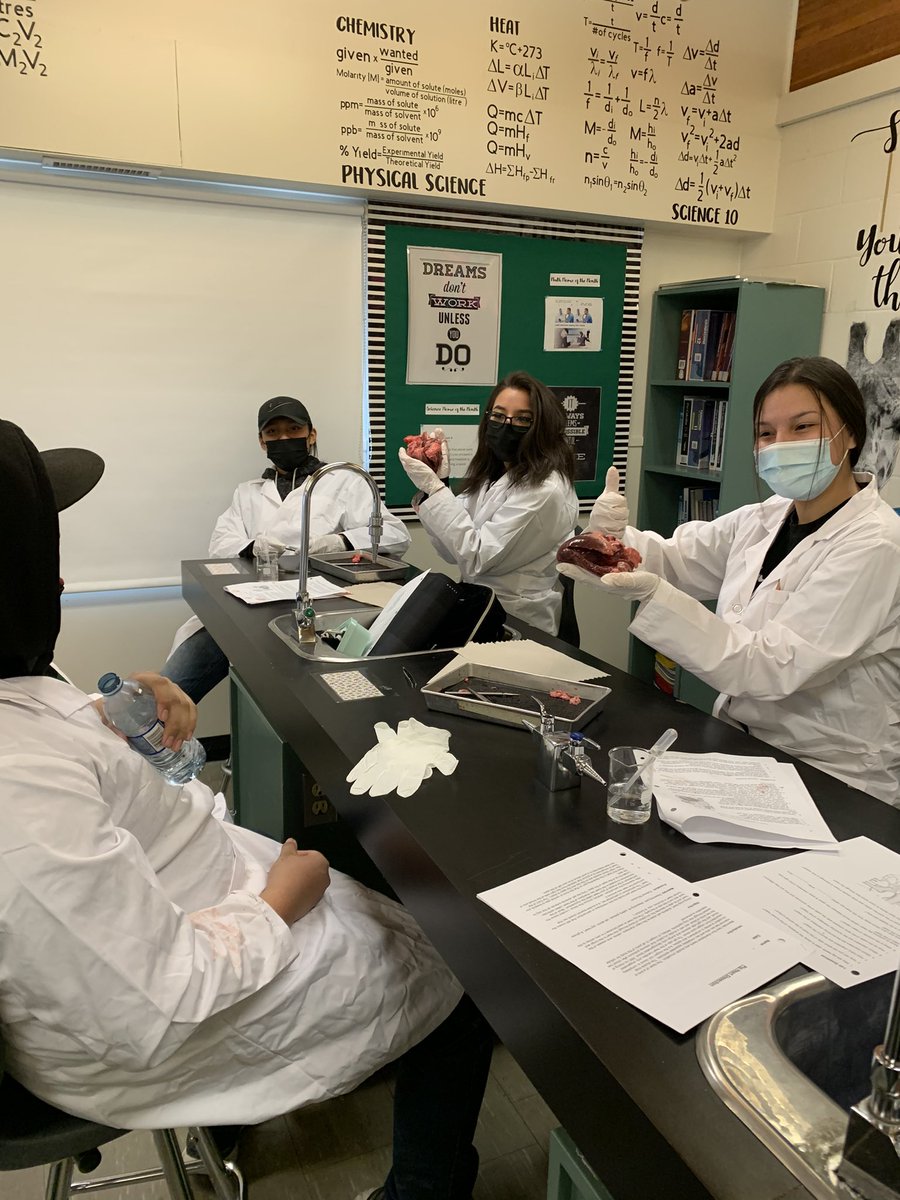 l_burym's tweet photo. Was a great day getting to watch/listen to the littles and the bigs engaged in their learning today! Ss in science “I feel so smart today, this is really cool way better than online” #pssdknows #sidebyside https://t.co/cXZxhPxUpQ