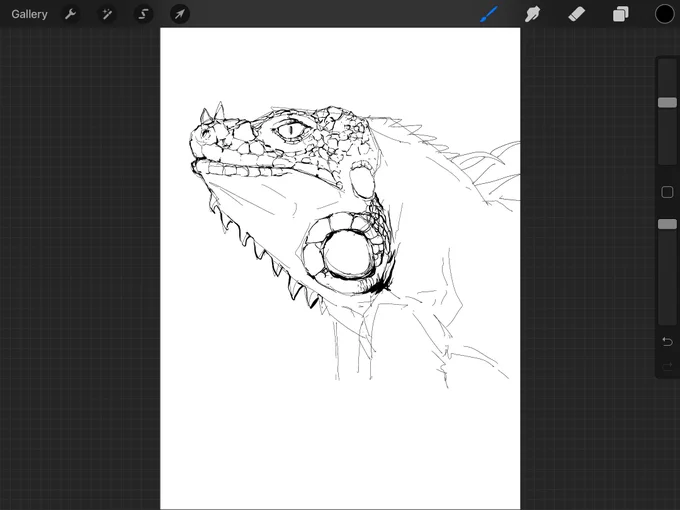 drawing my dog 