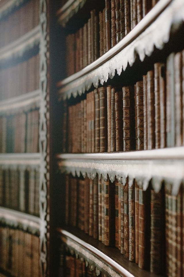 Aelindreamer's tweet photo. • Livros lidos em 2021 •

"A leitura engrandece a alma." https://t.co/ILueRRINsS