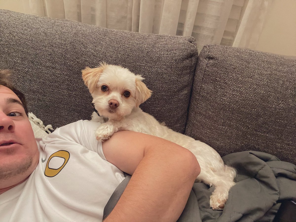 CoachJBowen's tweet photo. The wife told me it was “National Pup Day..” So here’s my pup.. Super manly dog, no doubt . #GoBigO https://t.co/RlQ8ddSBTL