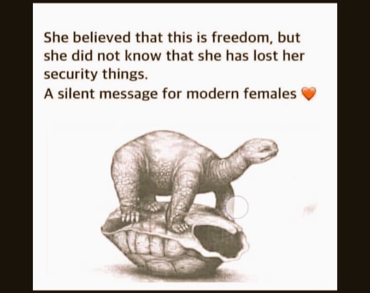 SafiyaBanu13's tweet photo. #wednesdaythought
#Wednesdayvibe 
#WednesdayMotivation https://t.co/XPM4aF9O3W