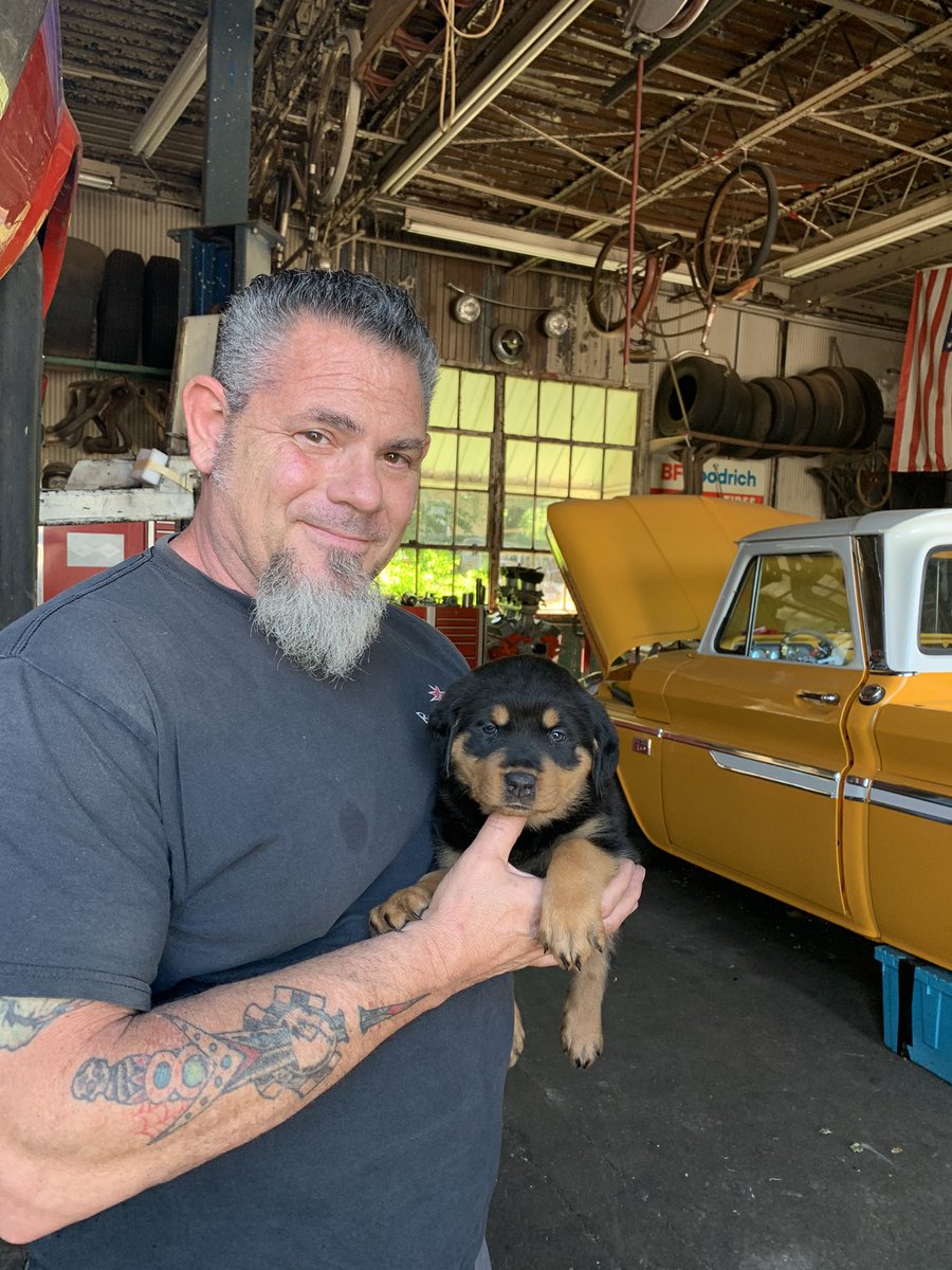 Happy National Puppy Day!!!!  🦴 This is Hank about 8 months ago. He’s since gotten huge and is the biggest cuddle bug.

We thank all that have opened their homes and hearts to care for the furry babies. 🐾 🔧 ♥️