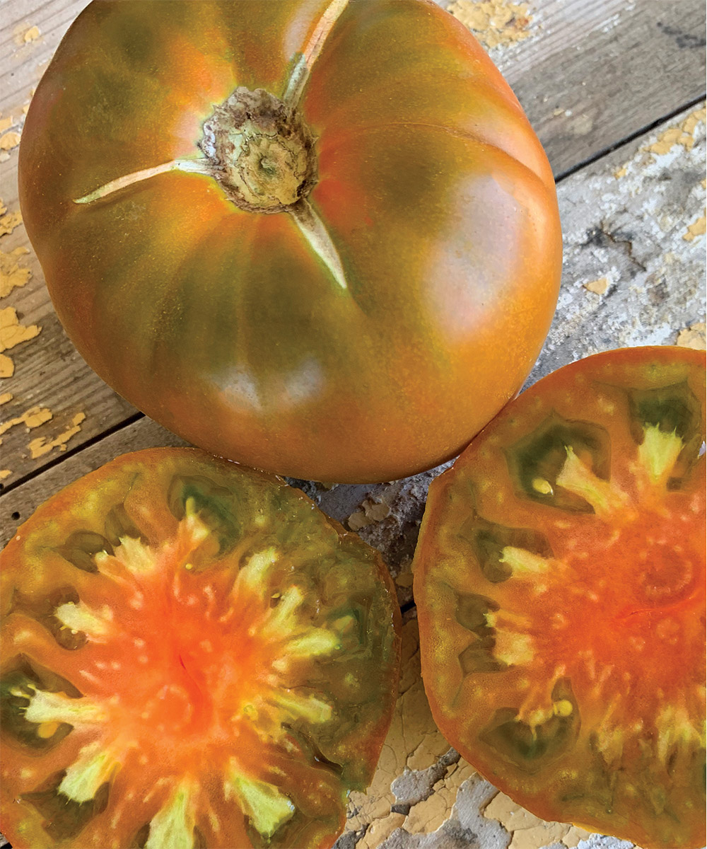 finegardening's tweet photo. To help you discover some new tomatoes to try, we asked nine experts from across the country to choose a favorite and then tell us what makes it “the one” for them. https://t.co/TDJDFdreYv https://t.co/r3OixyPysh