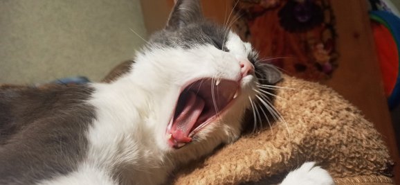 I want to sleep. +_+ https://t.co/yghE6d1gKo