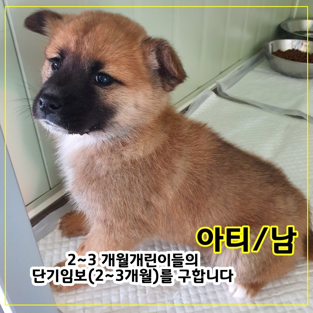 hdsppl's tweet photo. 💚2~3개월 단기임보급구💚
수도권지역만가능합니다
자세한건 아래링크 확인부탁드려요!
https://t.co/XaExwu4IEK https://t.co/sp2euzLUR1