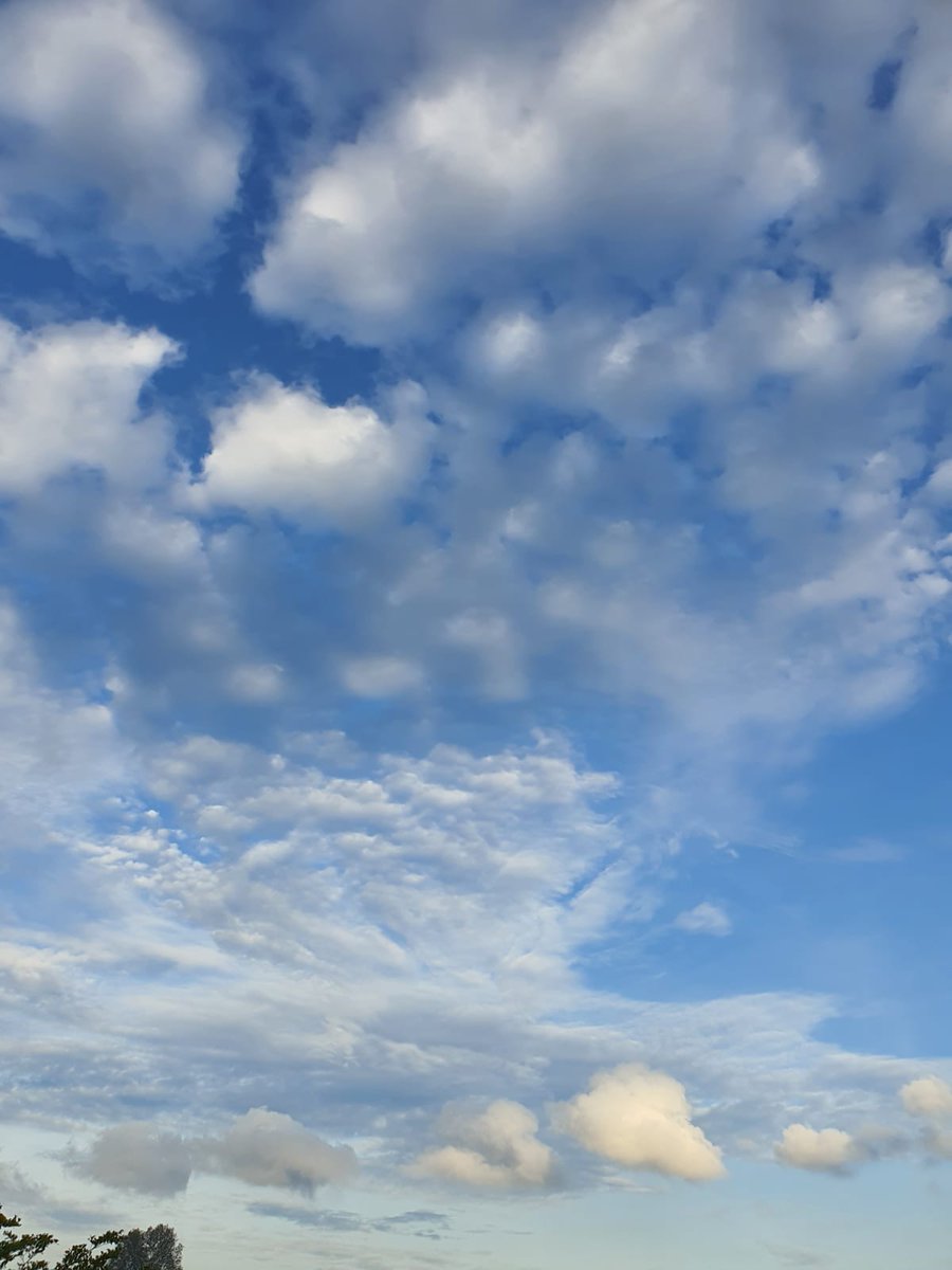 awesomefoot's tweet photo. Have a great day! https://t.co/3AGHKBICJk