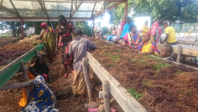 EUinKenya's tweet photo. Over the decades,@EUinKenya🇪🇺 has funded #agricultural research in Kenya 🇰🇪through @kalromkulima and its predecessors. The 650 million support to KALRO to develop #climate smart technologies will tremendously improve the #foodsecurity among the small-scale farmers in Kenya.👨🏾‍🌾👩🏾‍🌾 https://t.co/gdspVYwMGF