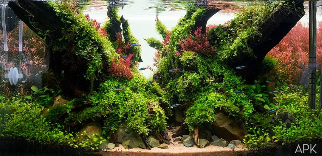 ApkNature's tweet image. Stay for a wild ผลงานของเรา APK ในงานประกวด บ้านและสวนแฟร์