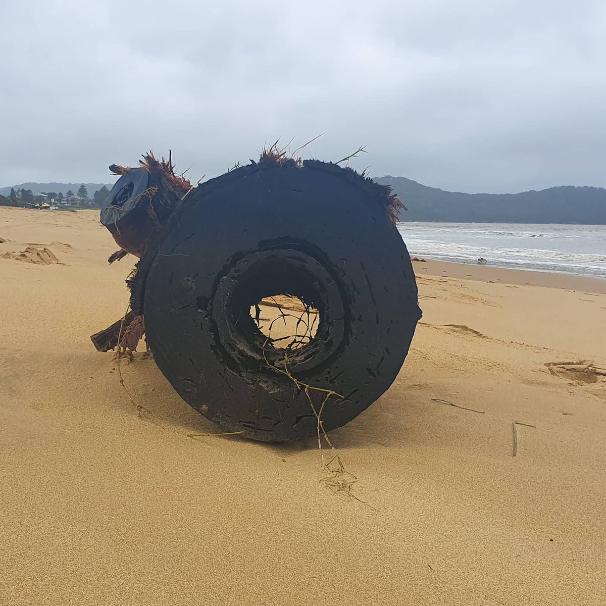 PredictionsSea's tweet photo. #nswfloods #2minutebeachclean
#plodding #predicions #take3forthesea #horoscope #readings #yourfuture #thefuture #thong #missingowner #ihavewood #newpost #oceancare
#noplasticstraws #plasticpollution #starfishwishes
#yuk
https://t.co/sG9a4SmCfc https://t.co/XC6MJvXpAU