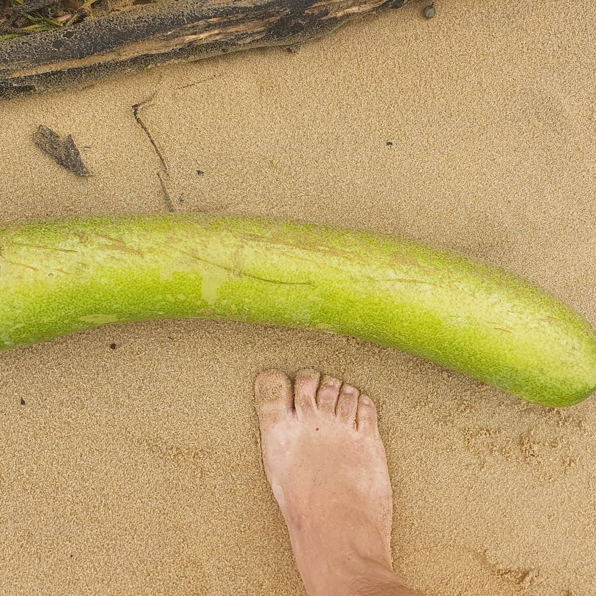 PredictionsSea's tweet photo. #nswfloods #2minutebeachclean
#plodding #predicions #take3forthesea #horoscope #readings #yourfuture #thefuture #thong #missingowner #ihavewood #newpost #oceancare
#noplasticstraws #plasticpollution #starfishwishes
#yuk
https://t.co/sG9a4SmCfc https://t.co/XC6MJvXpAU