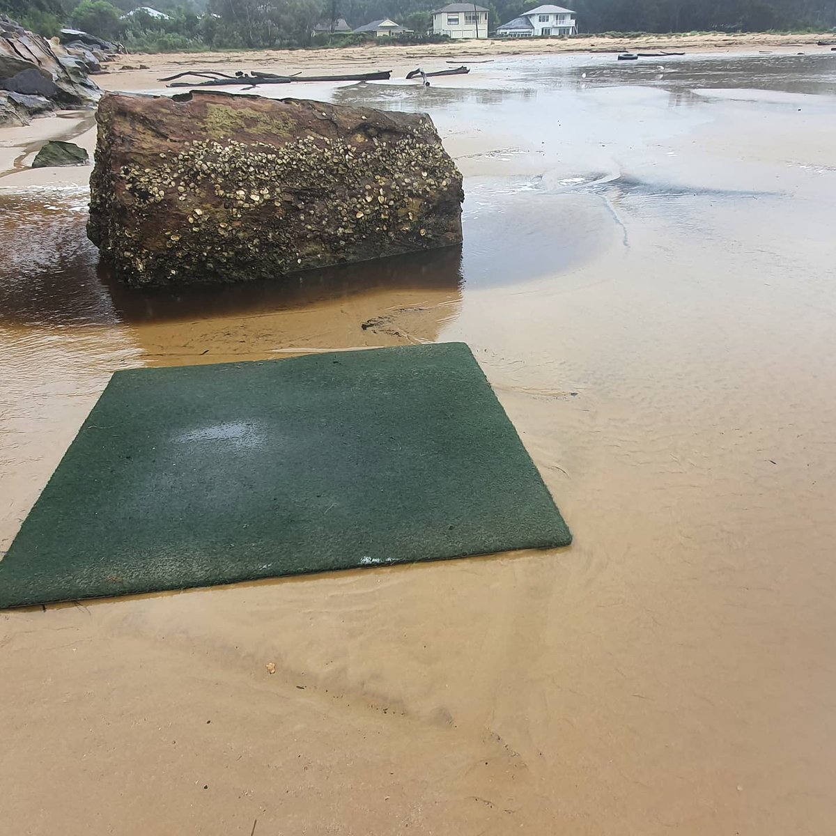 PredictionsSea's tweet photo. #nswfloods #2minutebeachclean
#plodding #predicions #take3forthesea #horoscope #readings #yourfuture #thefuture #thong #missingowner #ihavewood #newpost #oceancare
#noplasticstraws #plasticpollution #starfishwishes
#yuk
https://t.co/sG9a4SmCfc https://t.co/XC6MJvXpAU