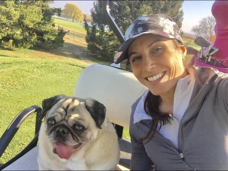 SmileyGolf7's tweet photo. @KiraDixon Golf is great...but it’s so much better with my Pugster on the bag.🐶🐾⛳️😎 https://t.co/uP8YGcm9vE