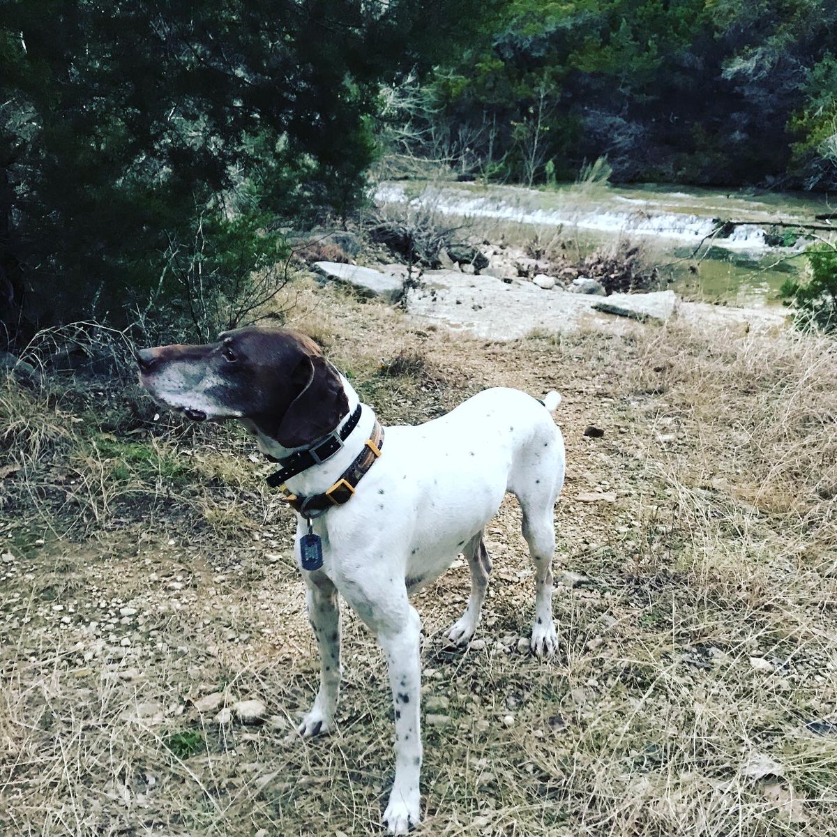 7875_Southlake_UPS tweet media