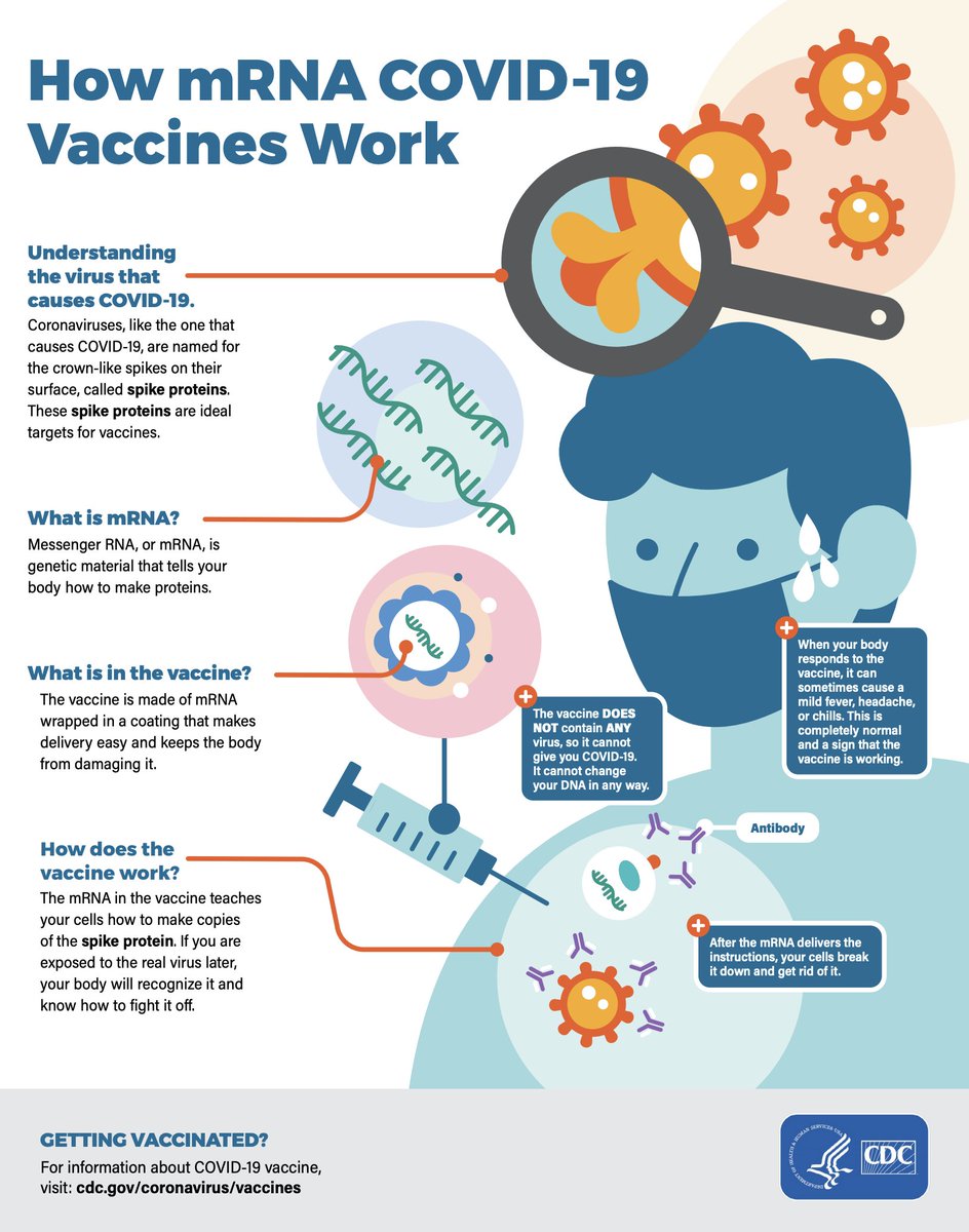 AllergyKidsDoc's tweet photo. Vaccines are an amazing way to help our robust immune systems build protective antibodies!

#COVID vaccines use mRNA blueprints (Pfizer/Moderna) or non-infectious viral vectors (J&amp;J).

And no - they don't contain microchips, 'rearrange' our DNA or cause infection. https://t.co/t4t526EE0j