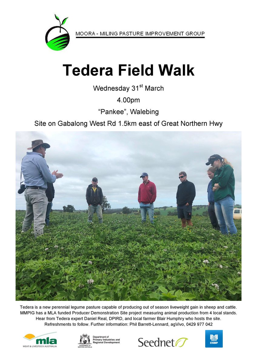 The Moora Miling Pasture Improvement Group is holding a short Tedera field walk at Walebing on Wednesday 31 March at 4.00pm looking at a <a href="/meatlivestock/">Meat & Livestock Australia</a> funded Producer Demonstration Site. Tedera is a new perennial legume pasture developed by @DPIRDWA.