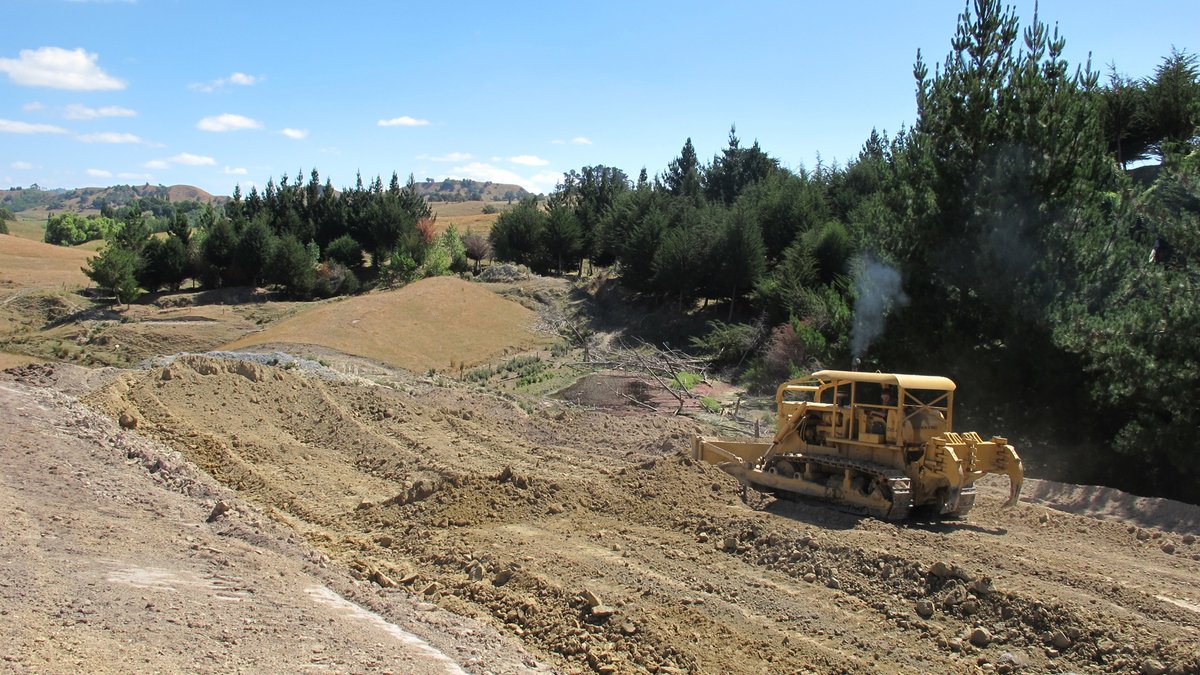 Timaru Herald tweet media