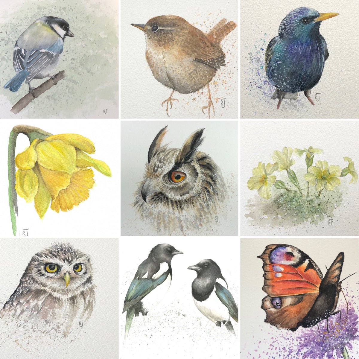 a-watercolour-a-day tweet media