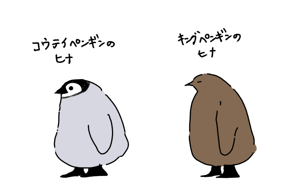 近ごろ自分の中でペンギンが熱いので、好きなペンギンのヒナ描いてみた