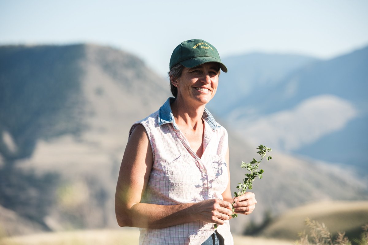 MeatmeCA's tweet photo. Head over to our Instagram/Facebook acc to read more about our #BCLocal farmers, ranchers, &amp; orgs. that supply you with our delicious, healthy proteins @meatme.ca! 𝗧𝗼𝗱𝗮𝘆'𝘀 𝗙𝗲𝗮𝘁𝘂𝗿𝗲: Empire Valley Ranch, Giesbrecht Farm, Gindara Sablefish, @seaagra Sustainable Seafood: https://t.co/YcCceTfgSj