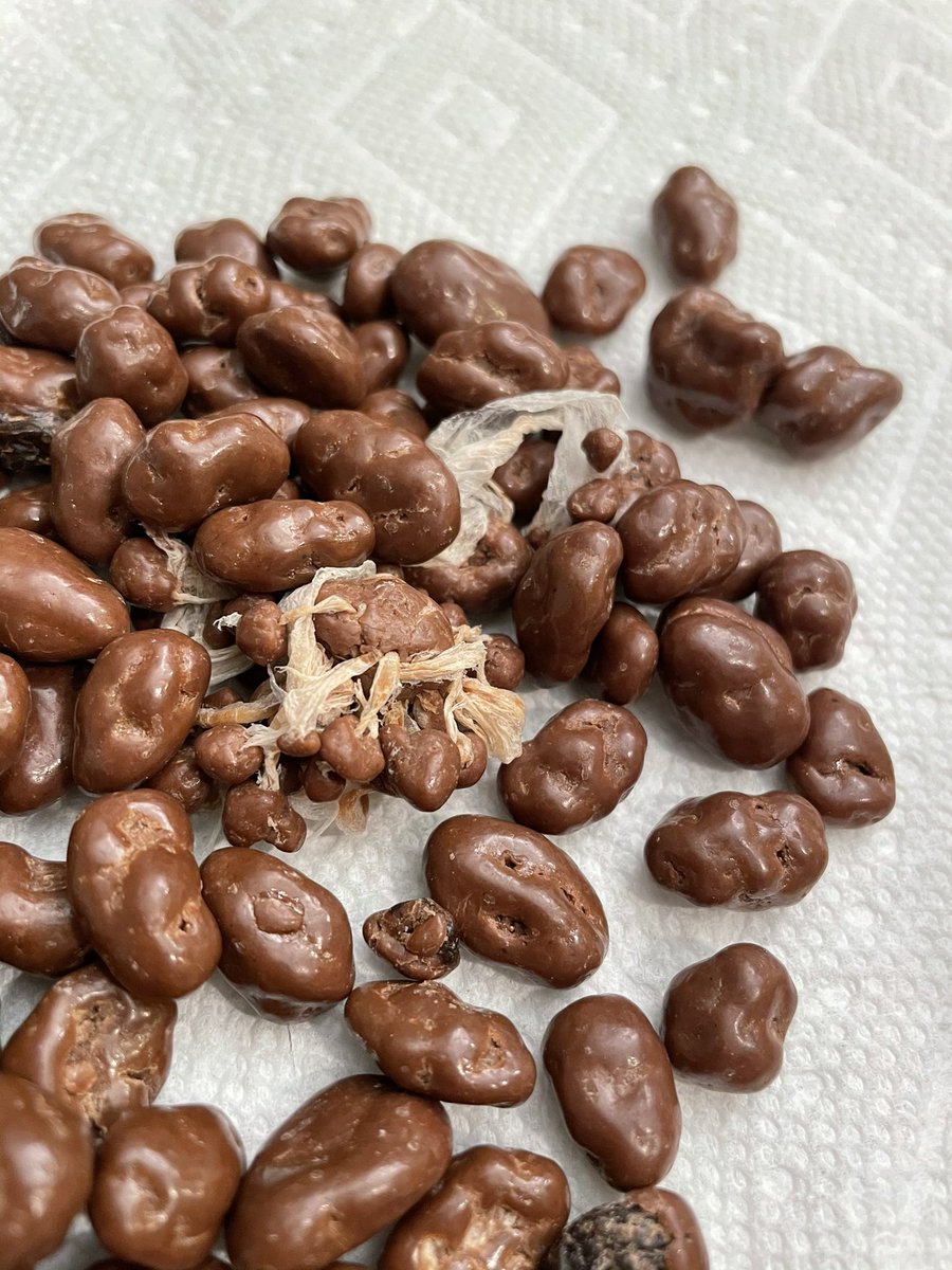 emacaux's tweet photo. @FerreroNACorp I think you might want to do some QC checks of your batches of Raisinets. Whatever this is, it’s nasty looking. https://t.co/jM9IFdkD0M