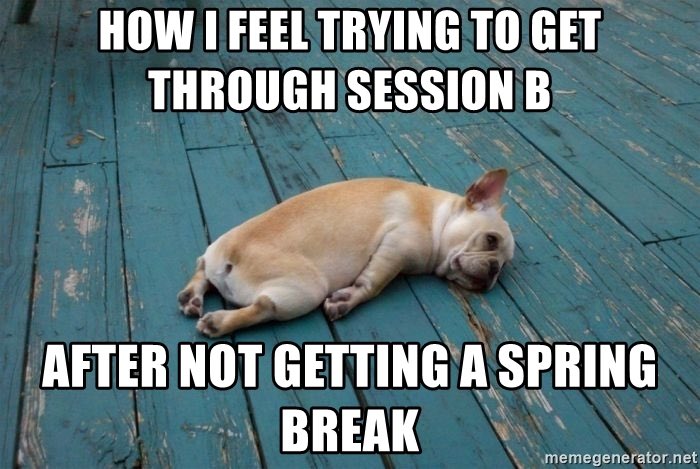 annajax_'s tweet photo. Send coffee. I’m tired. 😴📚 #MCO335 #fatiguedfrenchie https://t.co/CCL7Xnz3rv