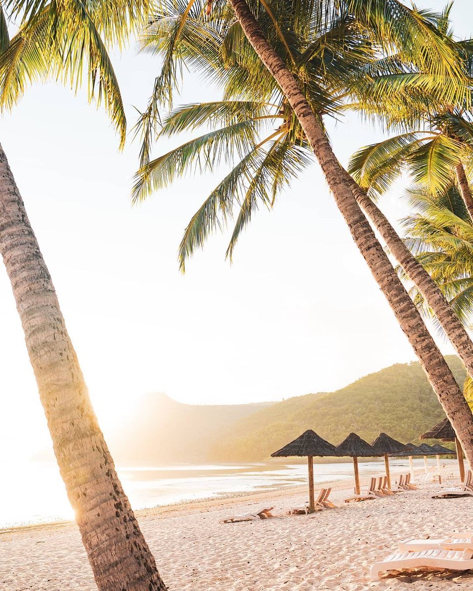 travelqld's tweet photo. The gorgeous Whitsundays https://t.co/2Tm4GBEj29