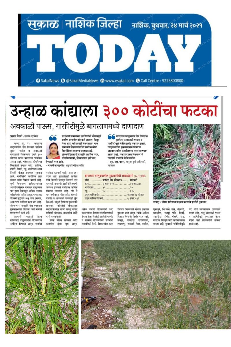 PrashantSakal21's tweet photo. बागलाण तालुक्यात प्रचंड गारपीट, अवकाळी पावसाने शेतकऱ्यांना 300 कोटींचा फटका 
@AbhijitMDeore1 @Mahendra_Sakal @RoshanSakal @ShrimantManey @ameytirodkar @Pramod_Gaikwad @SakalMediaNews @gmahire1 @Gopalghoti1 https://t.co/PM5mpW0tKz