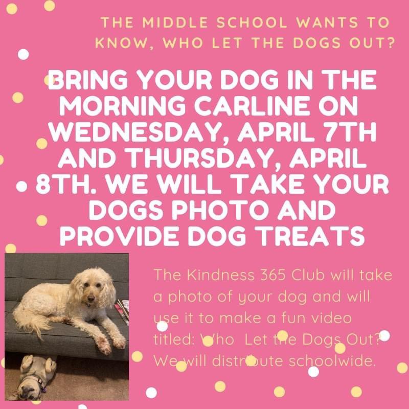 The day two of my passions collide! 🐶 🐾