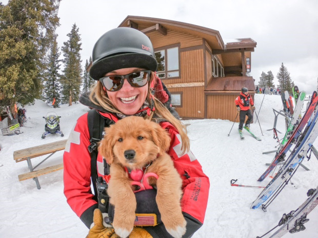 alpenlifeapp's tweet photo. Happy National Puppy Day 2021 #skipatrolpuppy #fluffypuppy #puppylife https://t.co/RdRhMuBTIJ