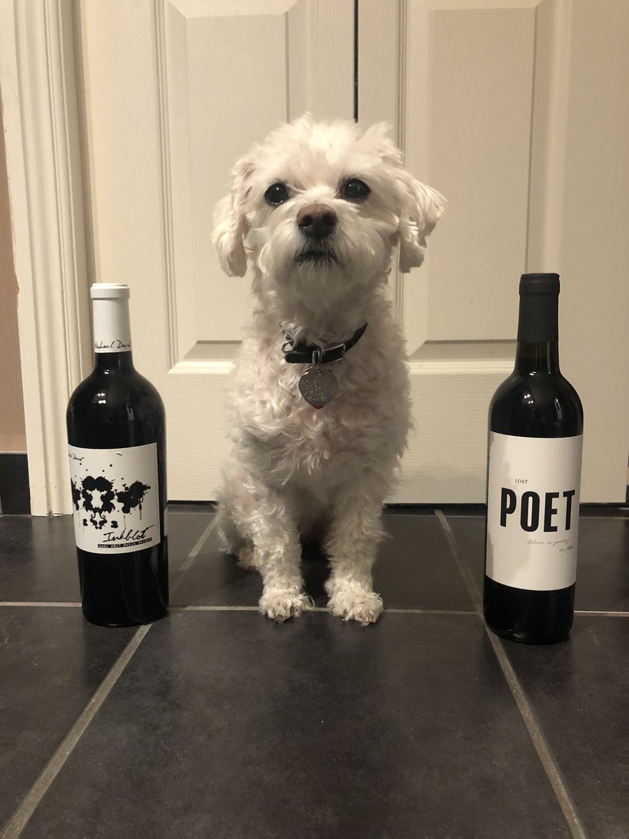 mywineplaylist's tweet photo. Just sitting here with a couple of 2017 #CaliforniaReds 🍷
 @MDWinery Inkblot Petit Verdot &amp; @WINC @atticuspoetry Lost Poet Red Blend. 🙌 

Pairs well with #NationalPuppyDay2021 
❤️#winedog 
#mywineplaylist #winelover  #wine #wineblogger https://t.co/kPs0l9Cx4b