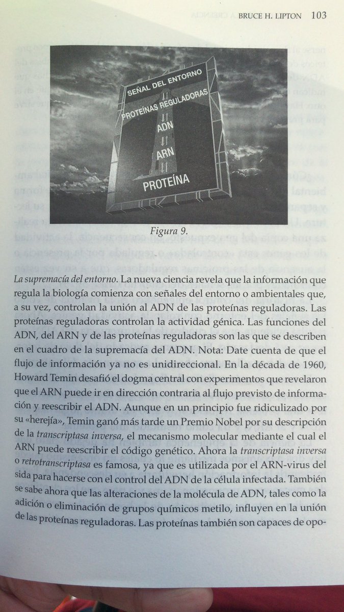 César Xavier tweet media
